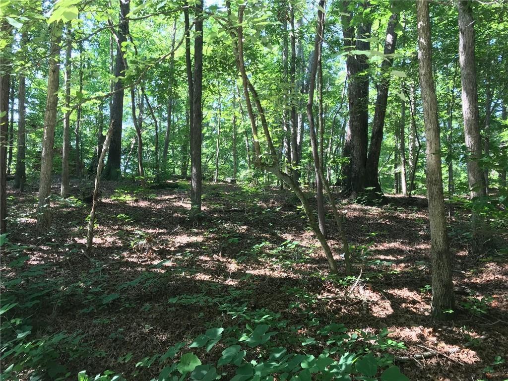 0 Wallace Tatum Road - Photo 1