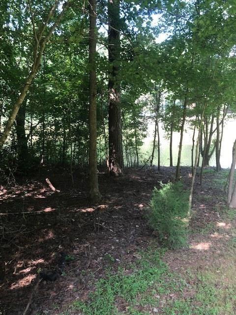 2109 Lakeview Parkway - Photo 1