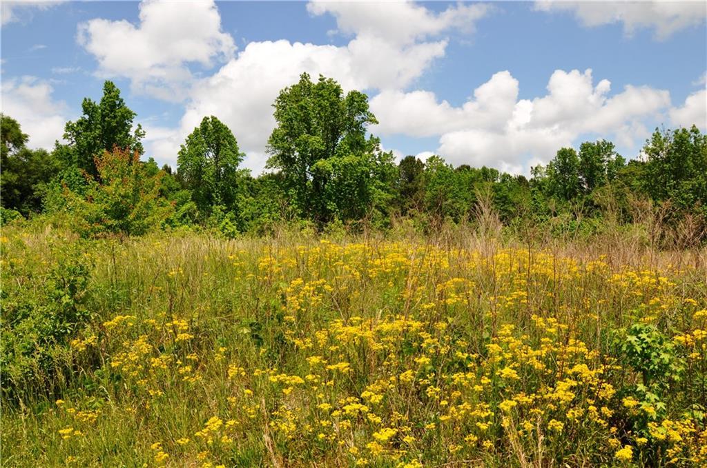 0 Kilcrease Road - Photo 1