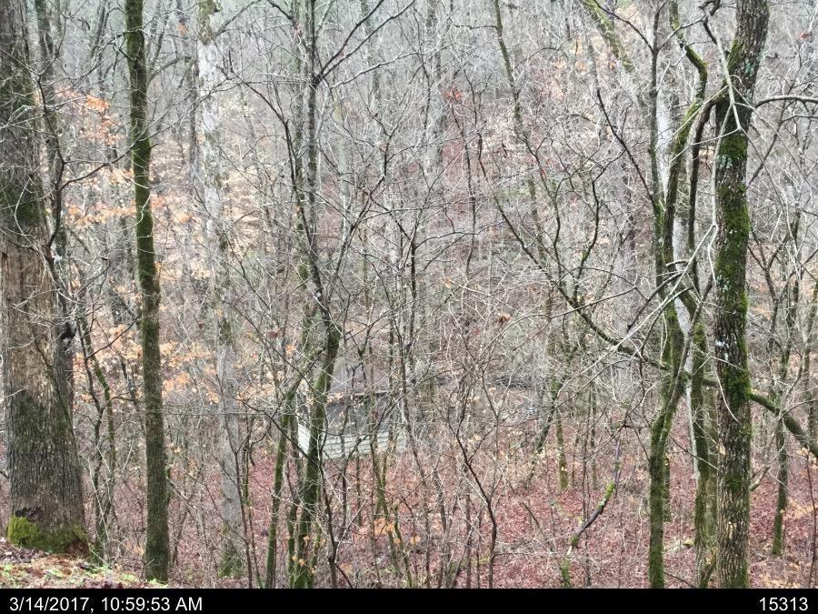 1615 Carmon Way - Photo 1
