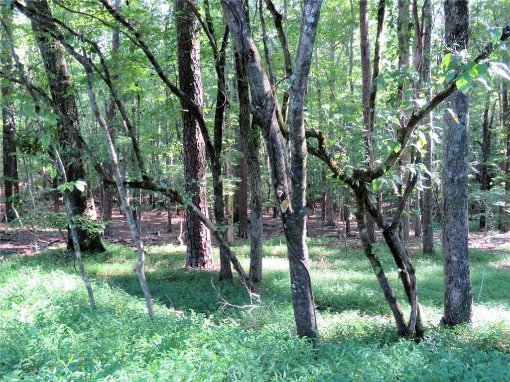 0 Crabapple Lane - Photo 1