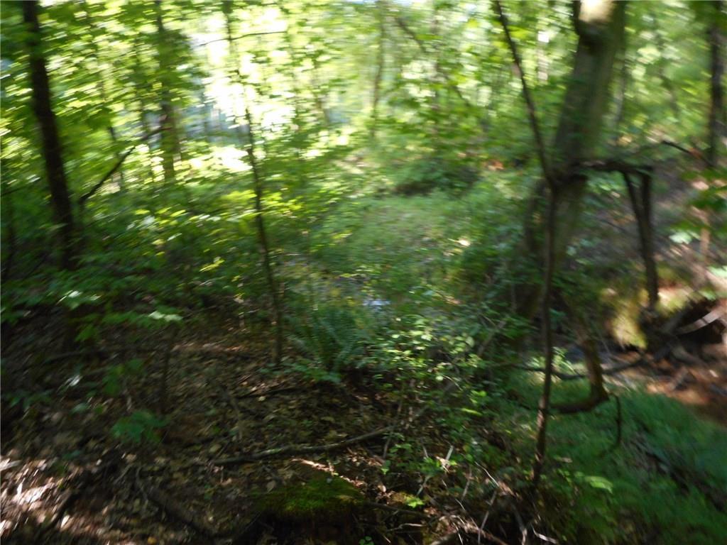 0 Chapel Hill Road - Photo 1