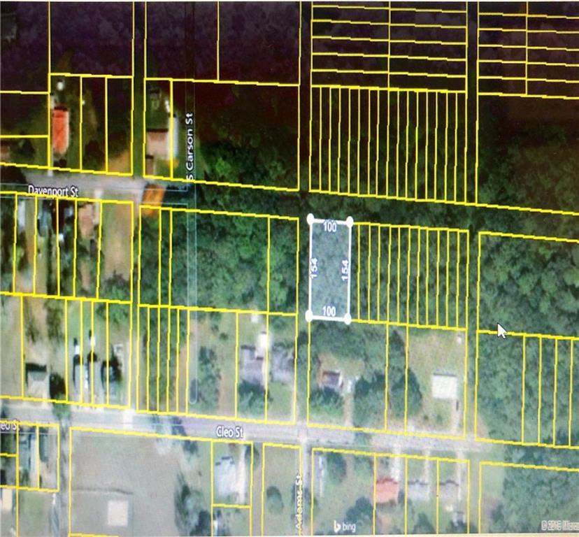 1002 Davenport Street - Photo 1