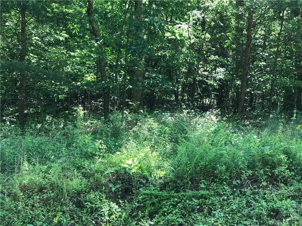00 Ridgeview Trail - Photo 1