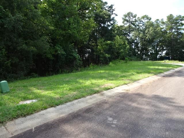 344 Norwood Lane - Photo 1