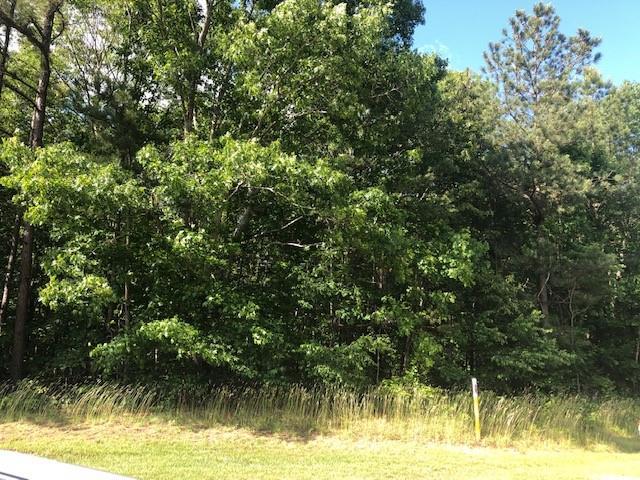 0 Old Jacksonville Road - Photo 1