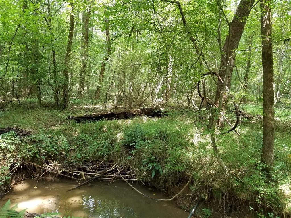 526 Adams Road - Photo 1
