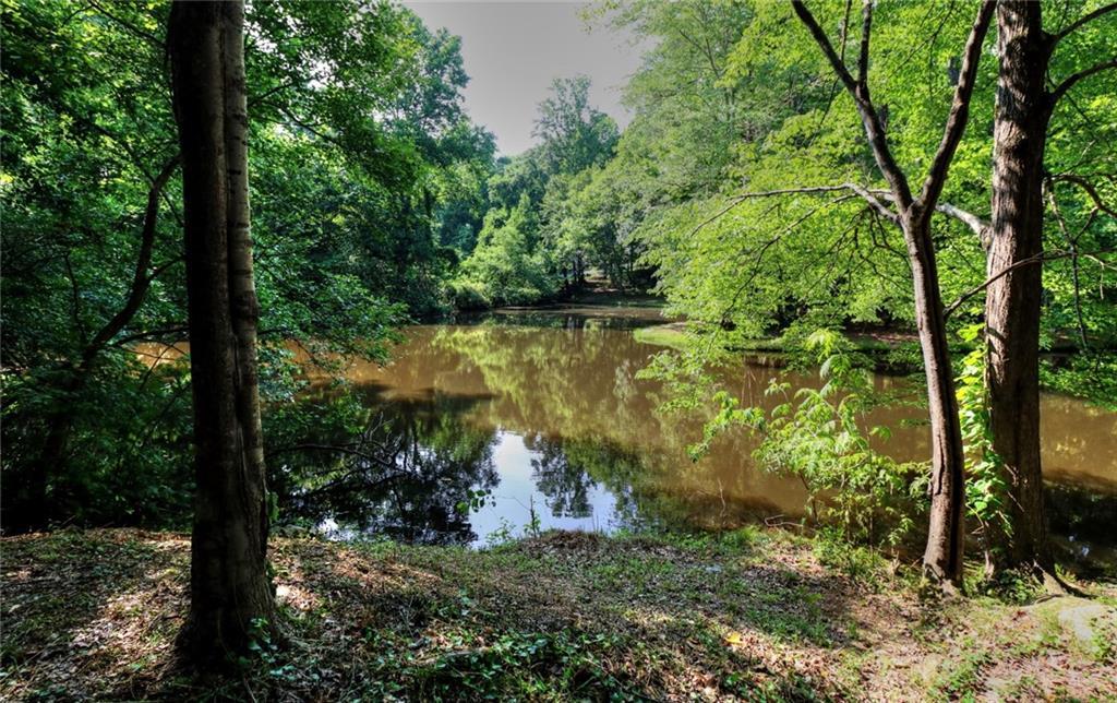 4963 Leifs Landing - Photo 1
