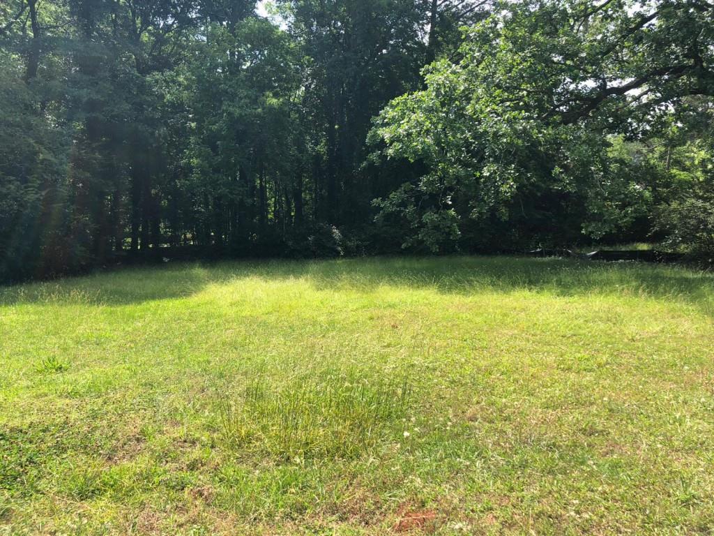 1423 Nelms Drive - Photo 1