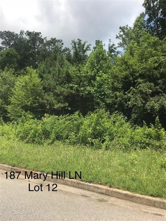187 Mary Hill Lane - Photo 1