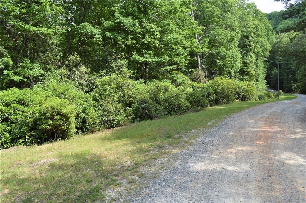 0 Laurel Hill Lane - Photo 1