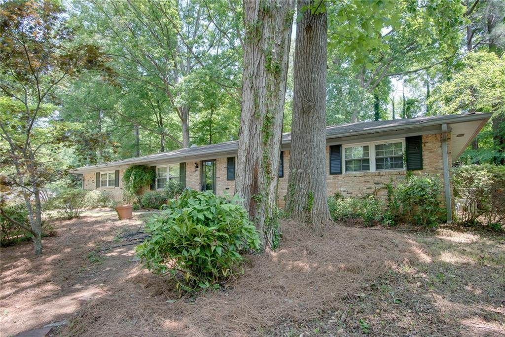 2219 Carson Valley Drive - Photo 1