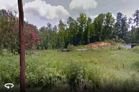 10755 Shallowford Road - Photo 1