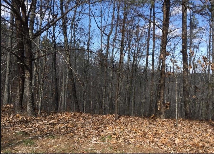 100 Adair Drive - Photo 1
