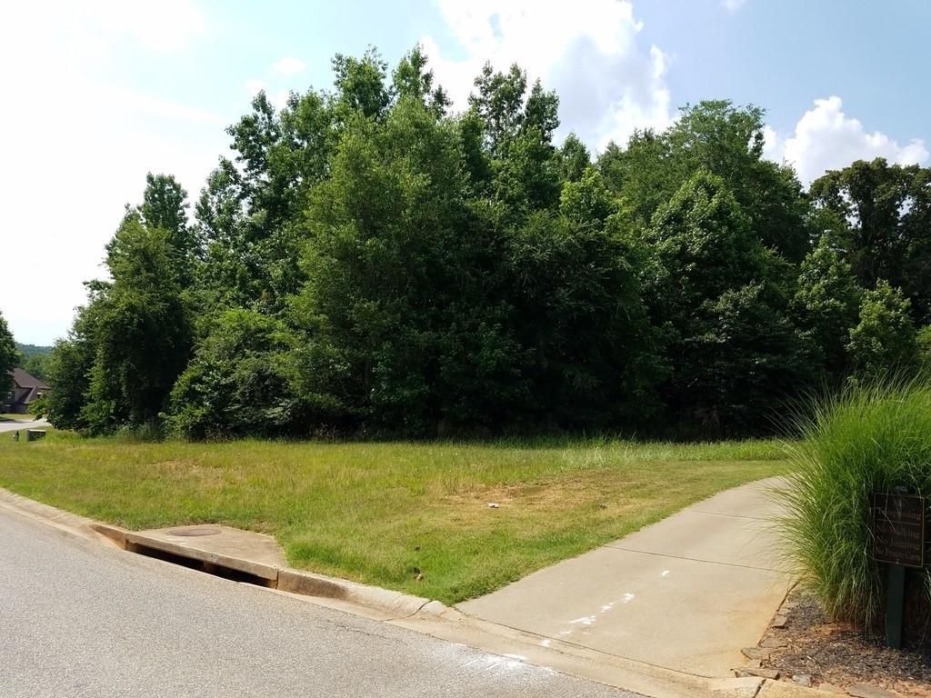 400 Harmony Grove Lane - Photo 1