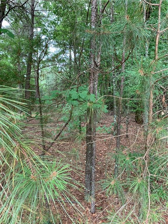 1884 Barber Creek Road - Photo 1