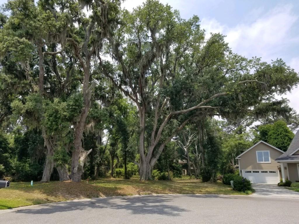 174 Country Club Drive - Photo 1