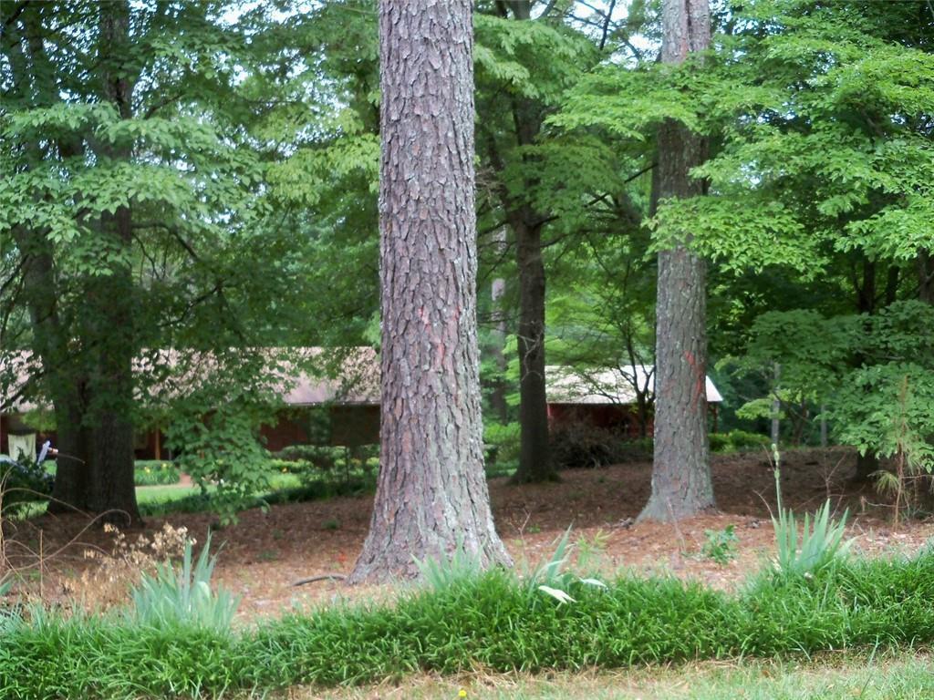 16440 Phillips Road - Photo 1
