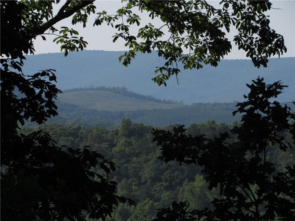0 Treat Mountain Road - Photo 1