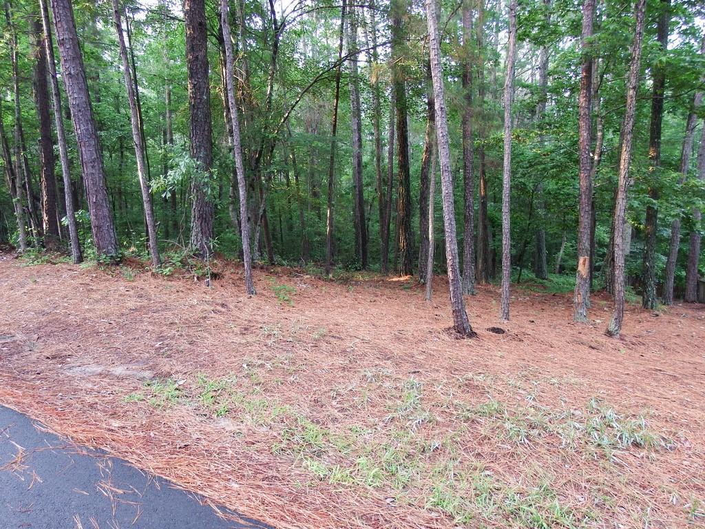 1308 Southgate Drive - Photo 1