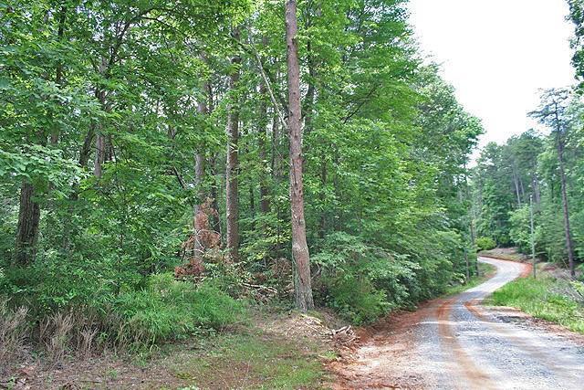 0 Laurel Point - Photo 1