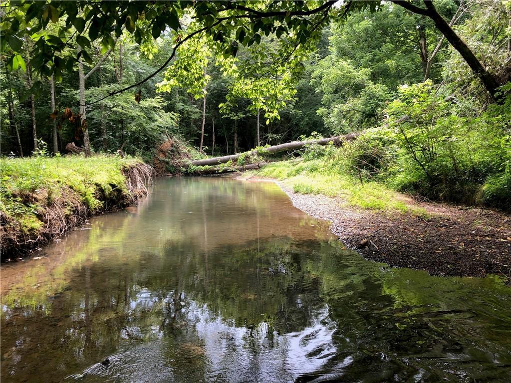 660 Baugh Mountain Road - Photo 1