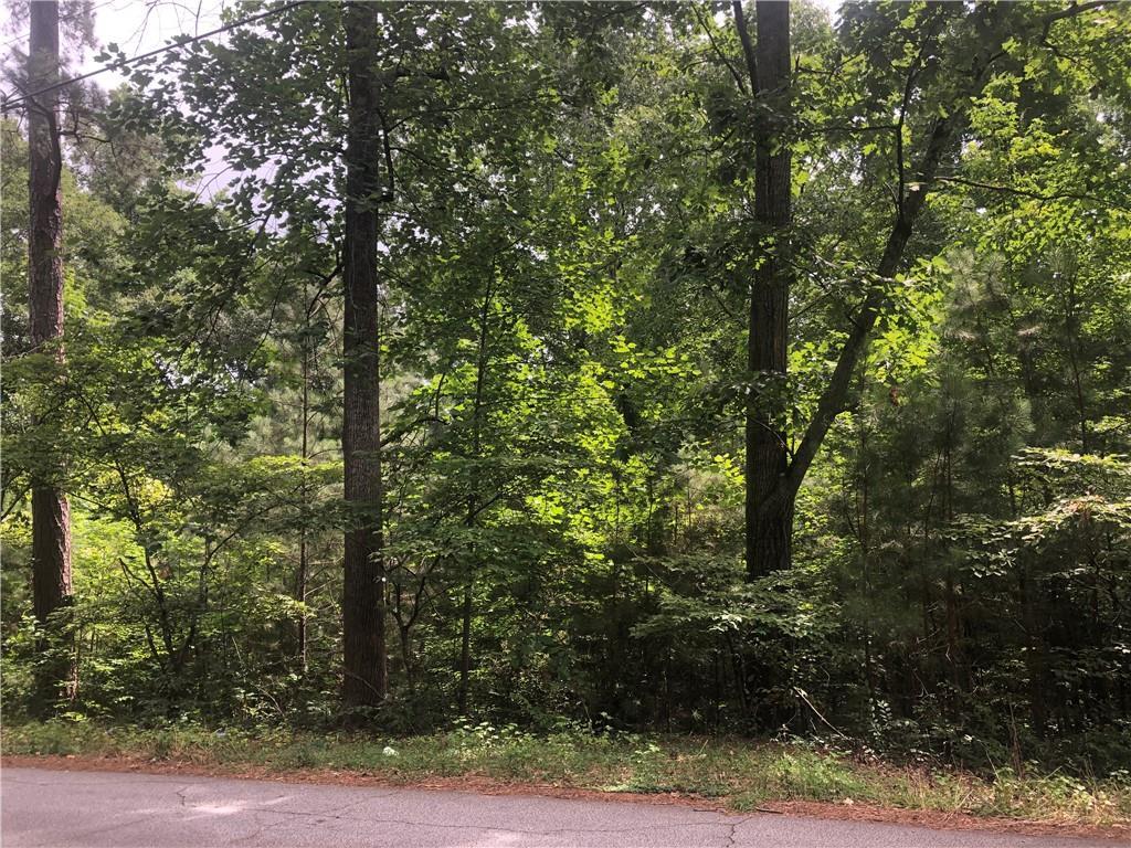 0 Flat Rock Trail - Photo 1