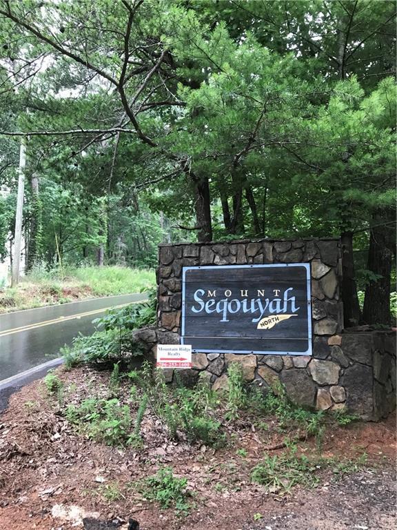 01 Mount Sequoyah Road - Photo 1