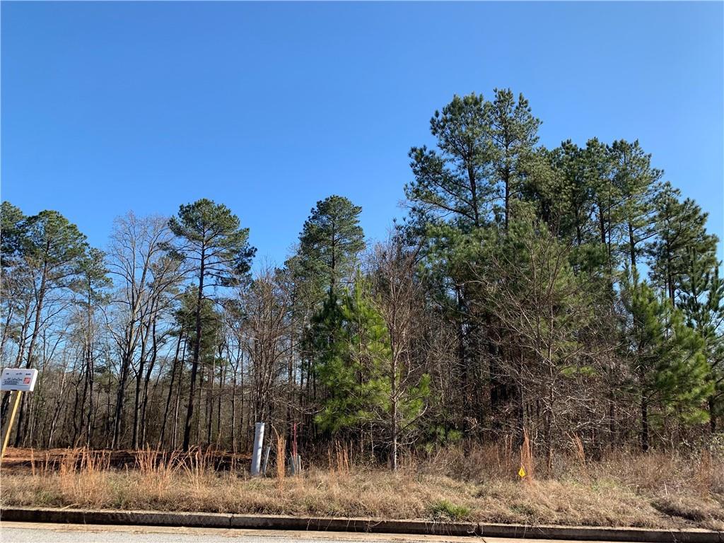 986 Golden Meadows Lane - Photo 1