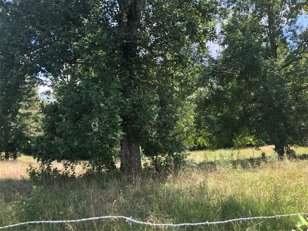 3820 Mason Creek Road - Photo 1