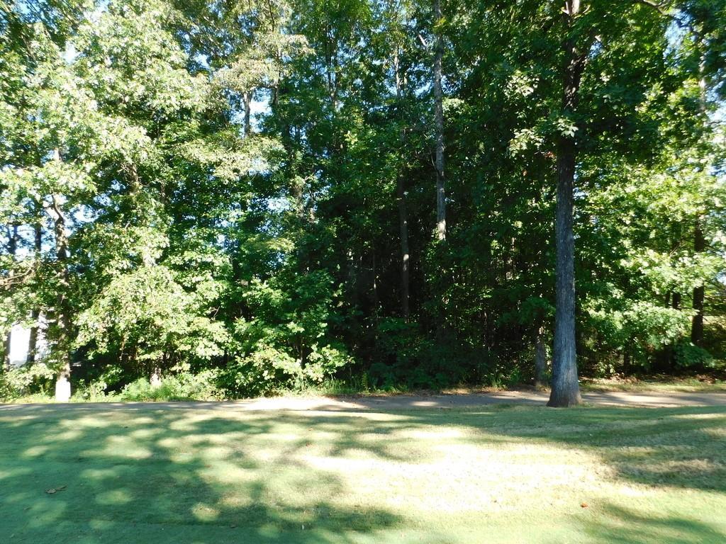 1036 Overlook Drive - Photo 1