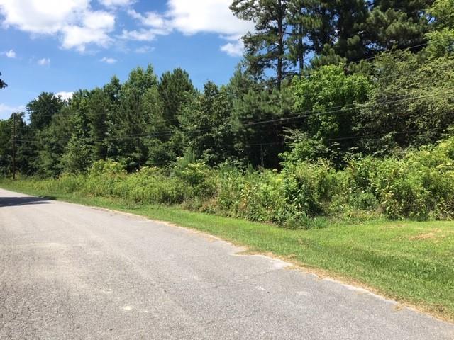 0 Jones Washington Road - Photo 1
