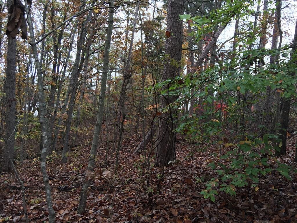 3723 Cagle Road - Photo 1