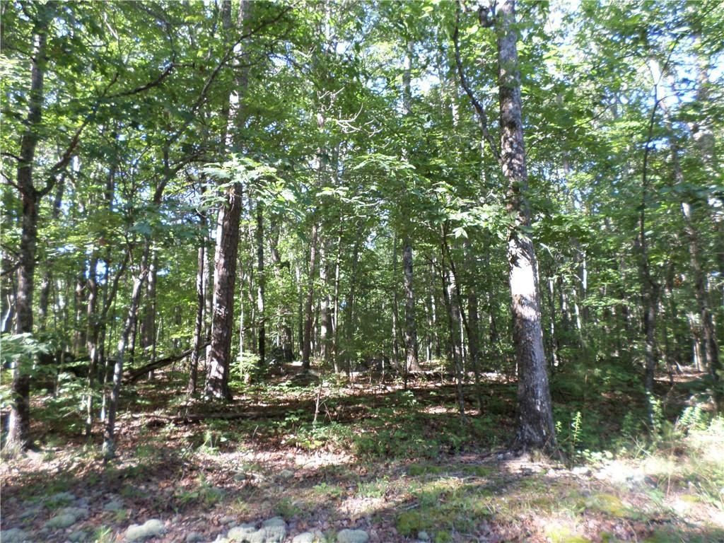 100 Country Creek Road - Photo 1
