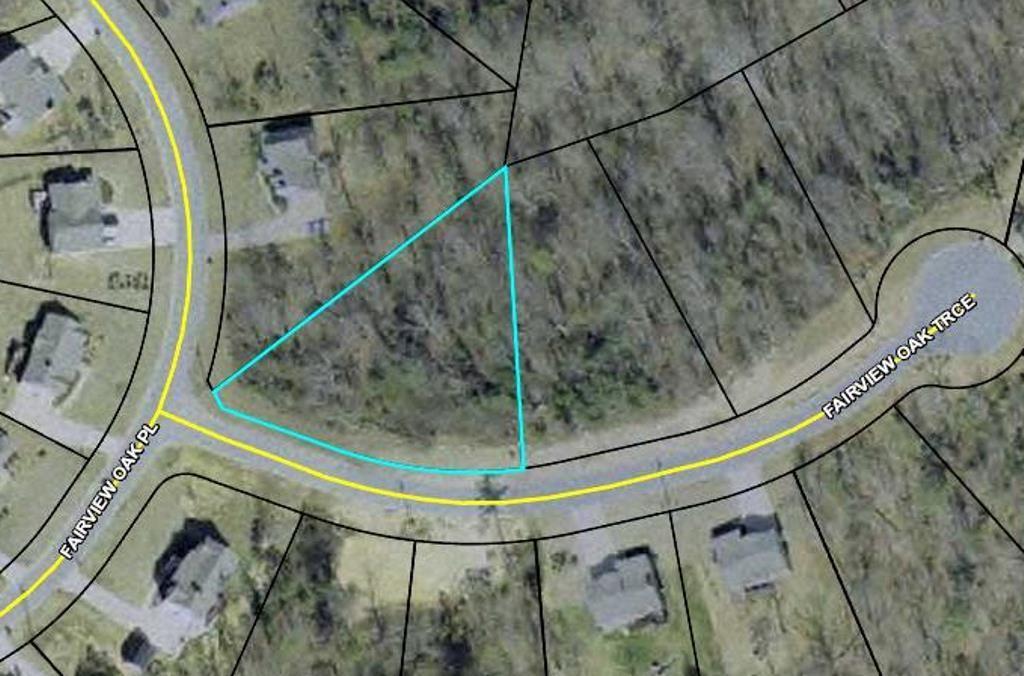 31 Fairview Oak Trace - Photo 1