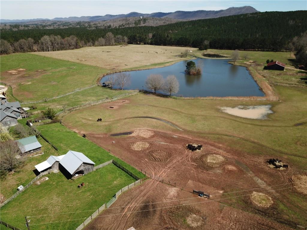 1143 Taliaferro Springs Road - Photo 1