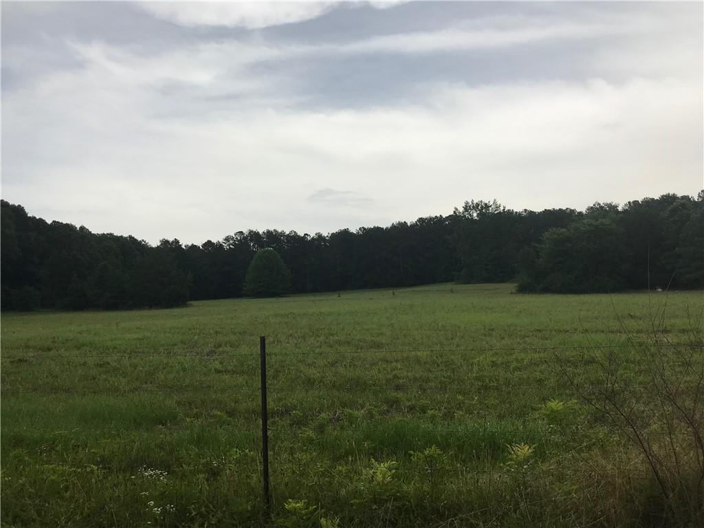 1671 Antioch Road - Photo 1