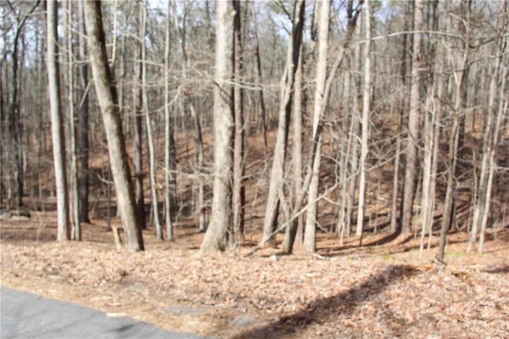 0 Yellow Hammer Drive - Photo 1