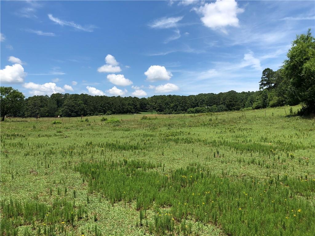 00 Puckett Road - Photo 1
