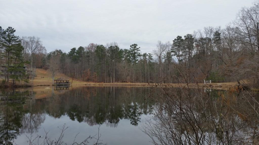 3536 Stone Ridge Drive - Photo 1