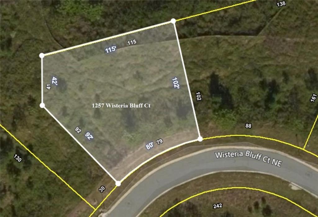 1257 Wisteria Bluff Court - Photo 1