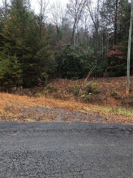 00 Flagpole Road - Photo 1