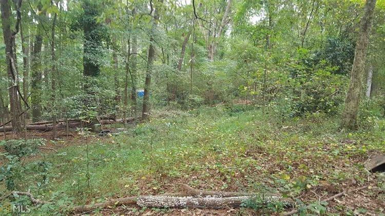 3115 Evans Mill Road - Photo 1
