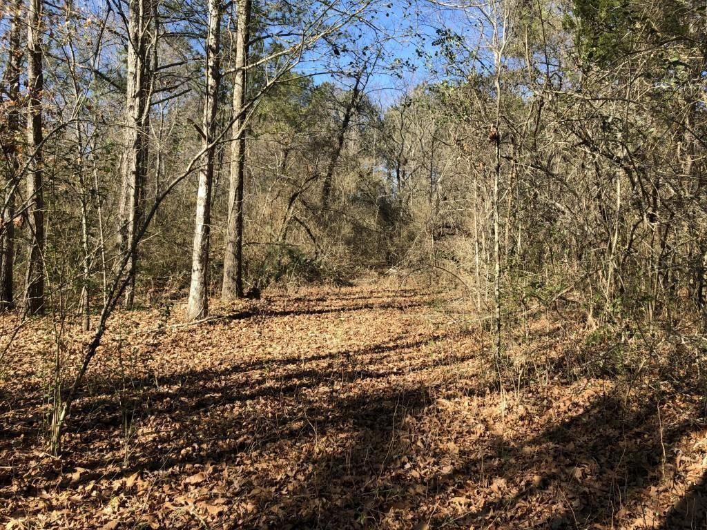 0 Holly Springs Road - Photo 1