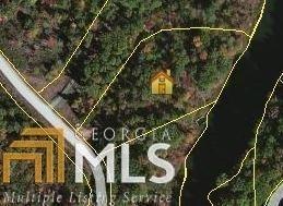 0 Laceola Road - Photo 1