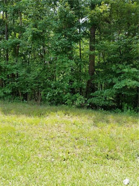 0 Berea Road - Photo 1