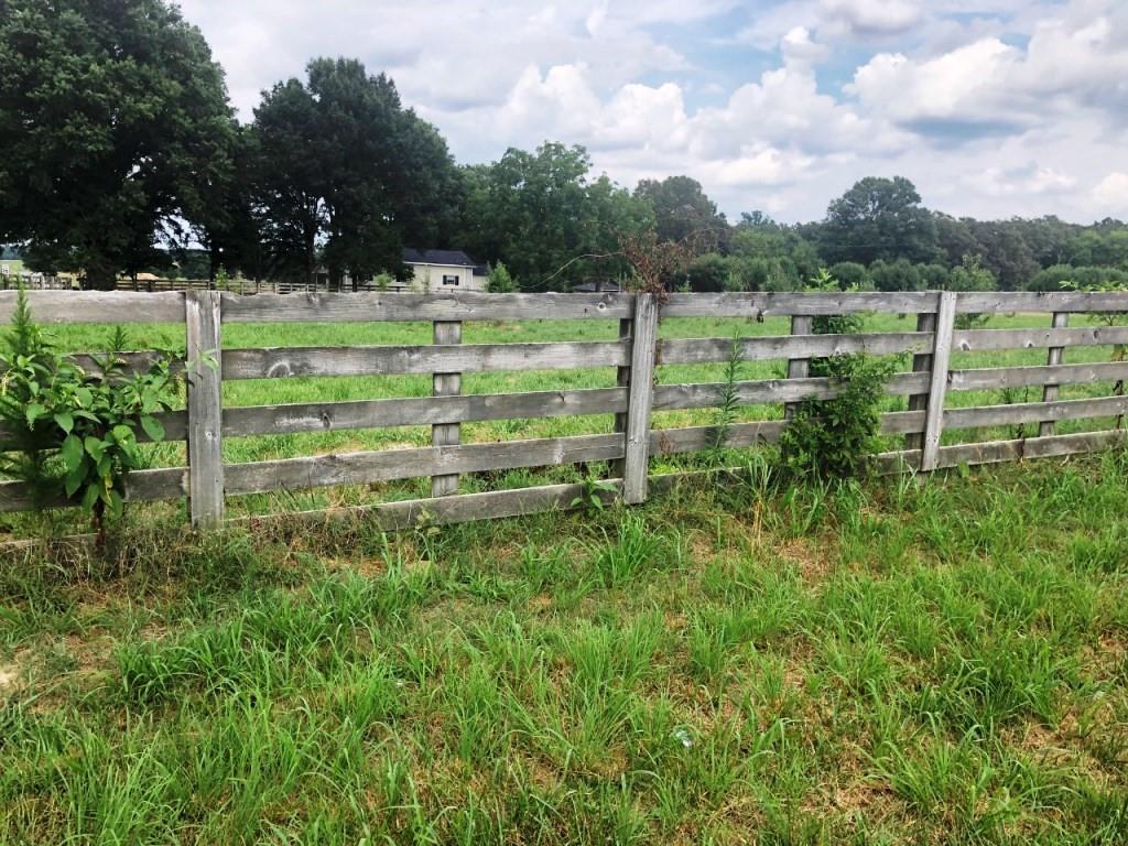 000 Hammond Road - Photo 1
