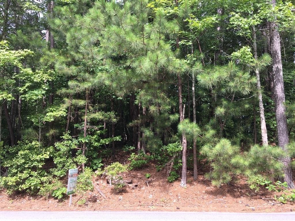 3323 Plunkett Road - Photo 1