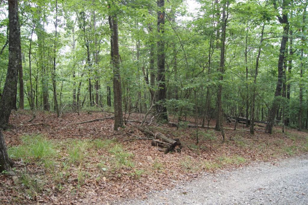 2 Bumpy Trail - Photo 1 2 Bumpy Trail - Photo 1