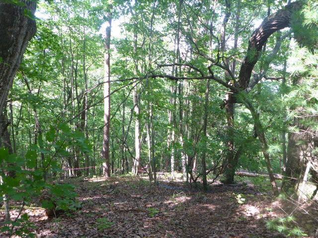 2713 Eagle Ridge - Photo 1